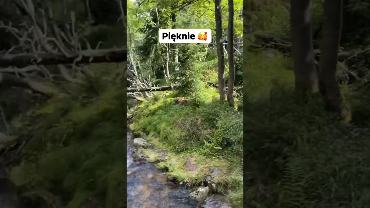 Karkonosze 🥰 #kpn #karkonoskiparknarodowy #karkonosze