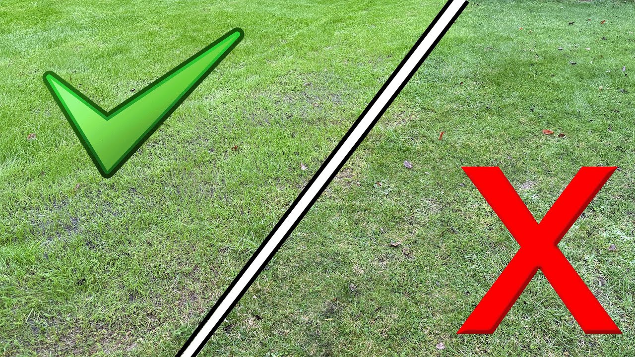 Доказано, что зимняя реконструкция газона все еще РАБОТАЕТ!