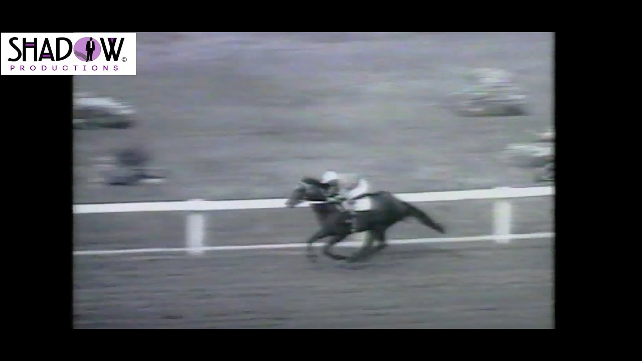 1970 Golden Slipper Baguette