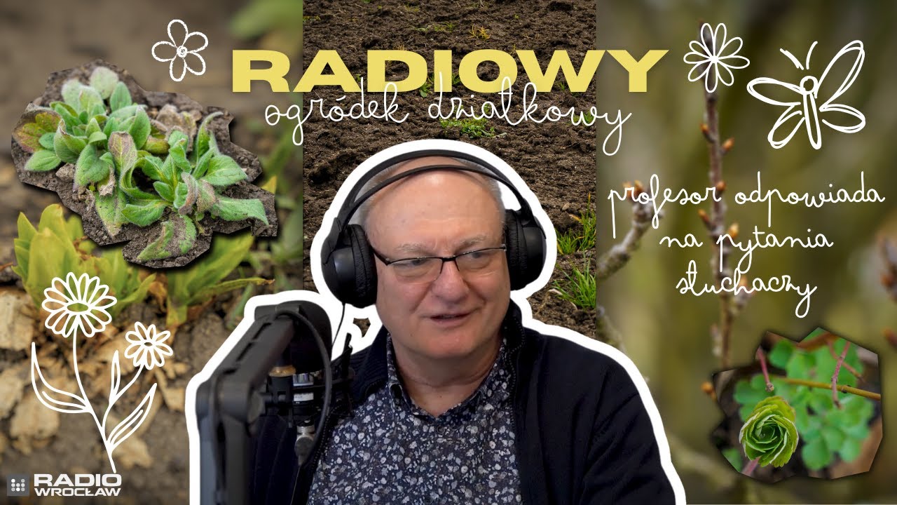 Krzysztof Matkowski i Radiowy Ogr&oacute;dek Działkowy