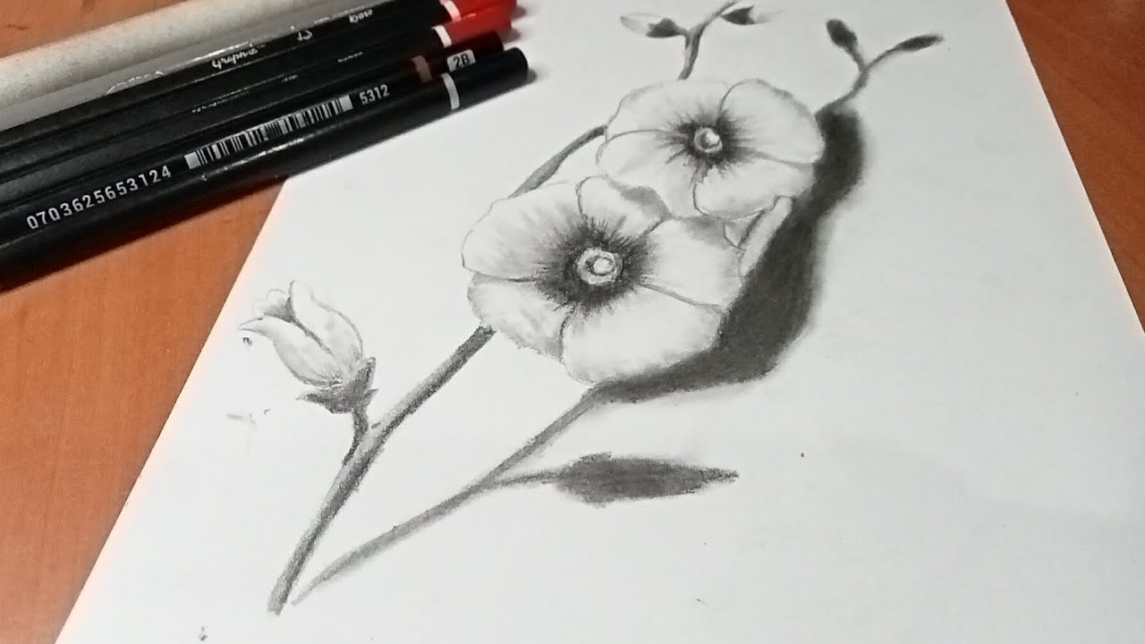 كيفية رسم وردة سهلة | رسم وردة بالرصاص | رسم الورود | رسم بالقلم الرصاص للمبتدئين