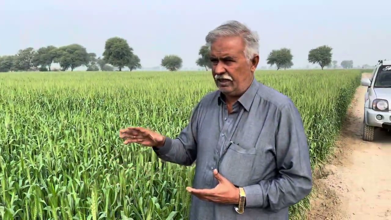 Fakhar e Bakhar wheat variety|long duration variety