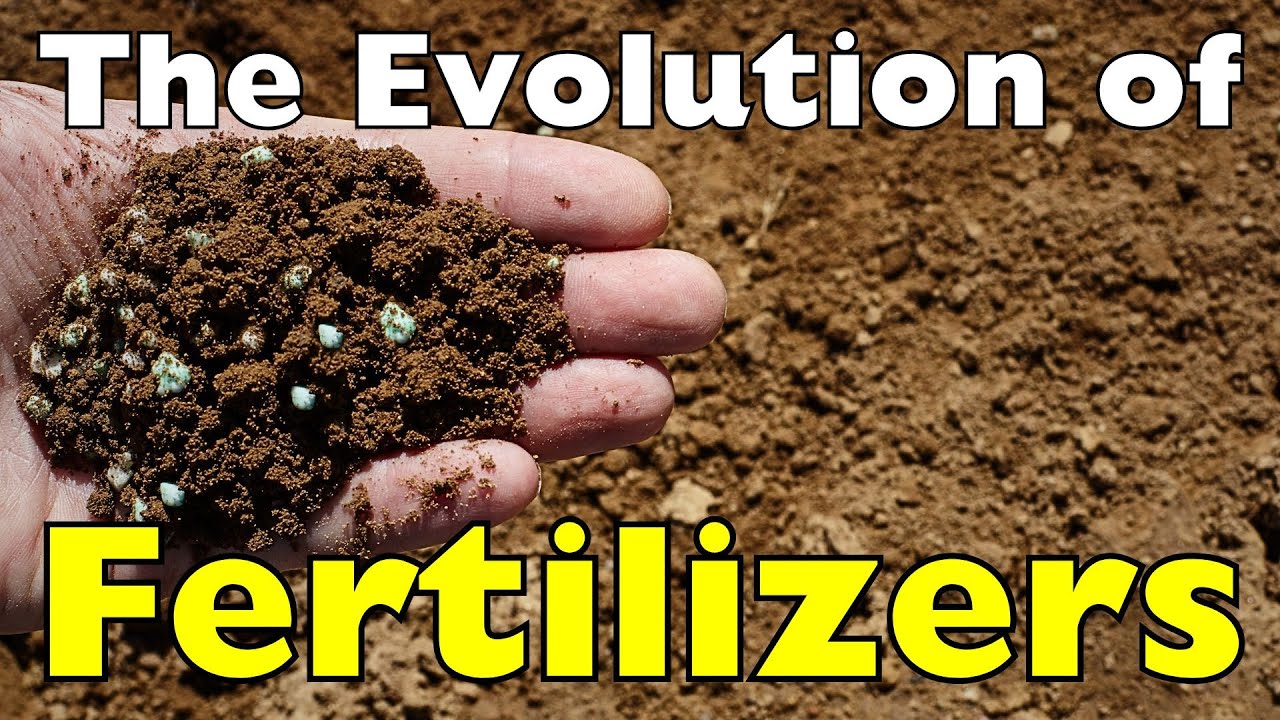 The Evolution of Fertilizers: Humanity&rsquo;s Greatest Agricultural Breakthrough
