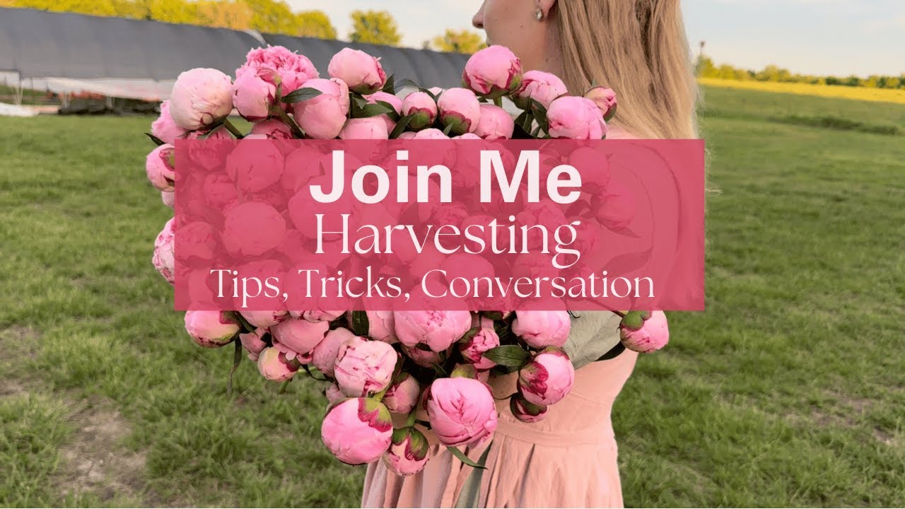 Maximize Profits with These Flower Farming Tips