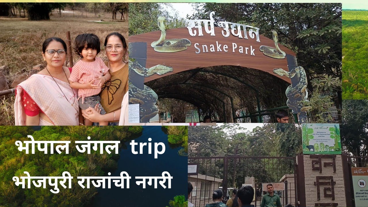 भोपाल भोजपुर राजाचा  तलाव # भोपाळ जंगल ट्रीपl भोपाळ मध्ये आम्ही काय काय बघितलं 🥰🥰l subscribe please🙏