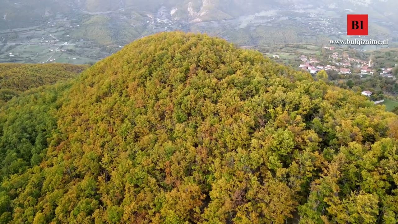 Zabeli i Madh, Zerqan