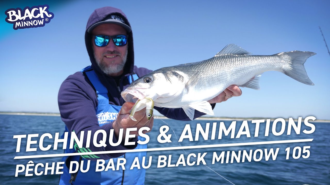 Fiiish - P&ecirc;che du bar au Black Minnow 105mm