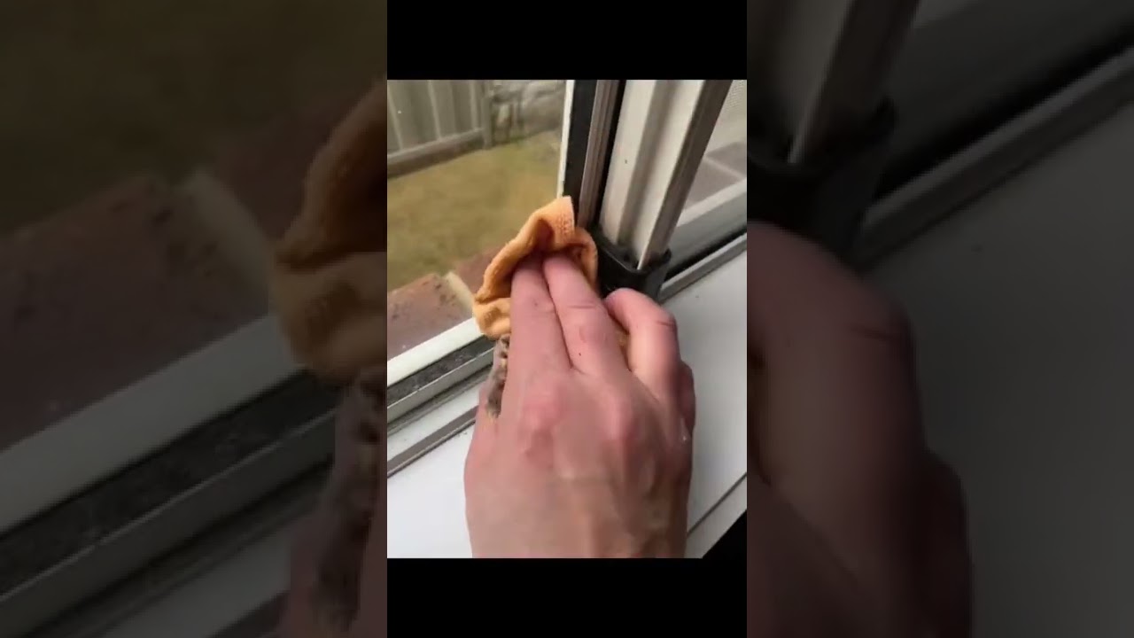 В доме пахнет собакой?