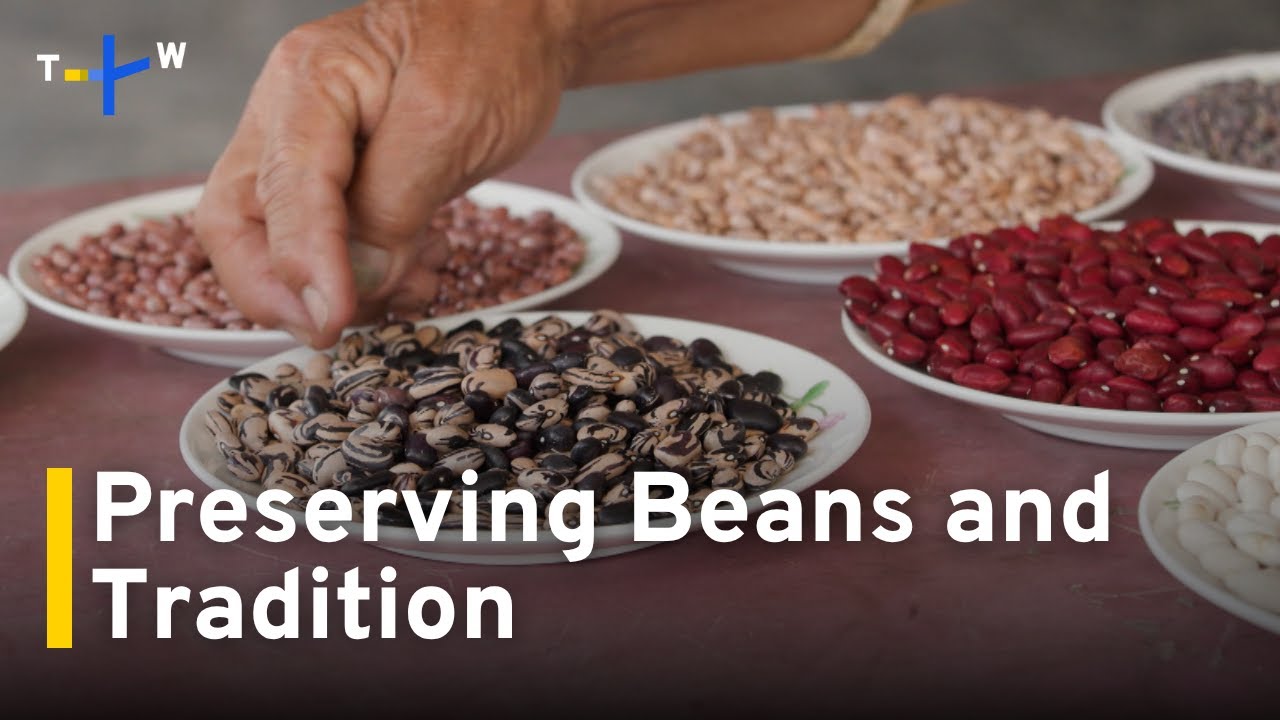 Hualien's Bunun Communities Preserve Rare Beans Through Home Gardening｜TaiwanPlus News