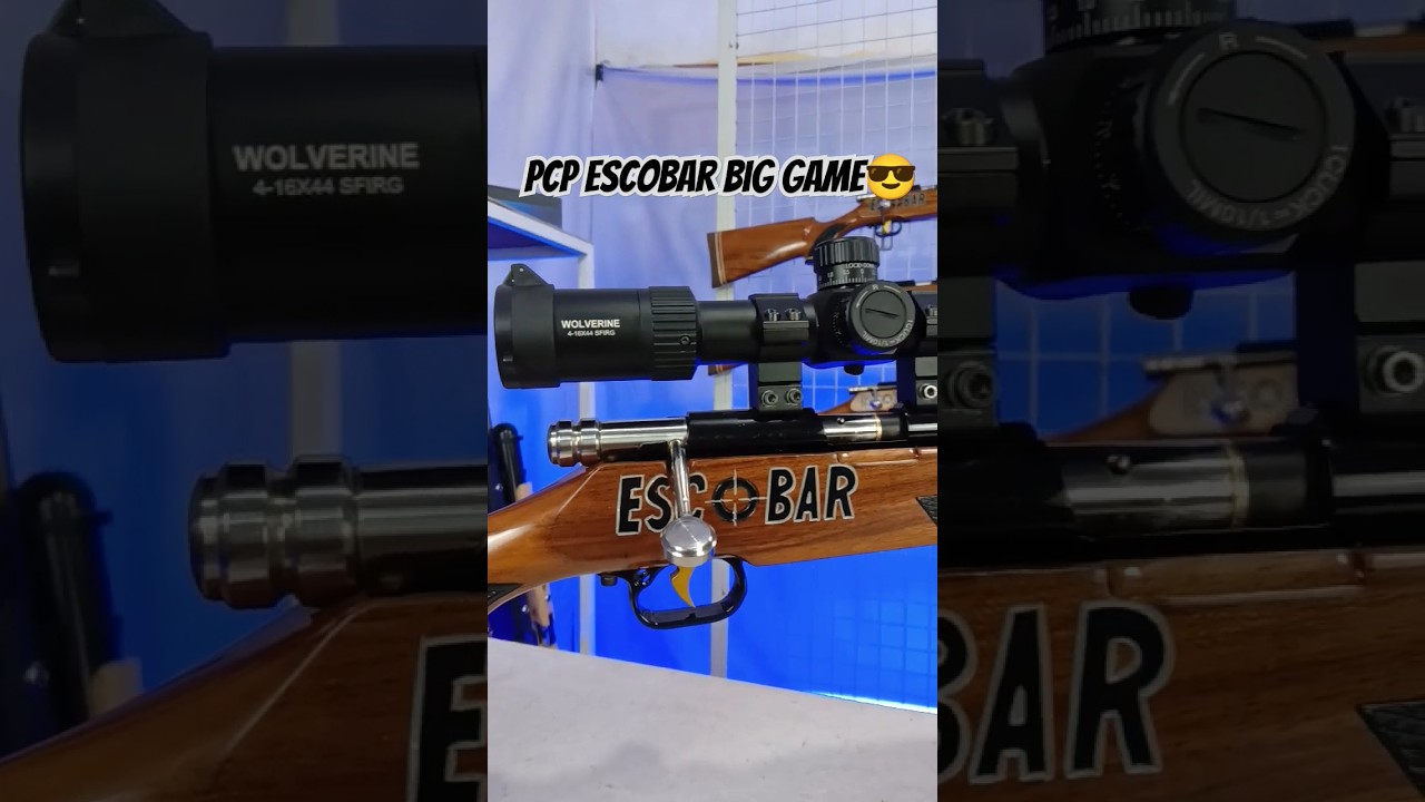 PCP BIG GAME !!! RUGER ESCOBAR AIRRIFLE NEW VERSION 2024🔥