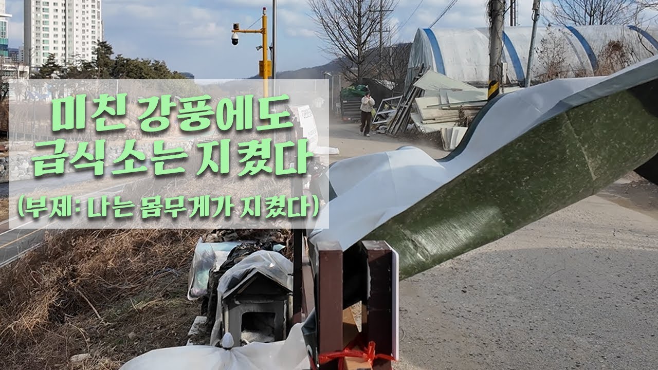 20260110 미친 강풍이 불어닥친 날, 급식소는 무사했다. 바람도 추위도 집사의 열정을 이길 수 없다. 길냥이 돌봄하는 영상. 오늘도 열심히 돌봄하는 집사와 냥이들의 영상입니다