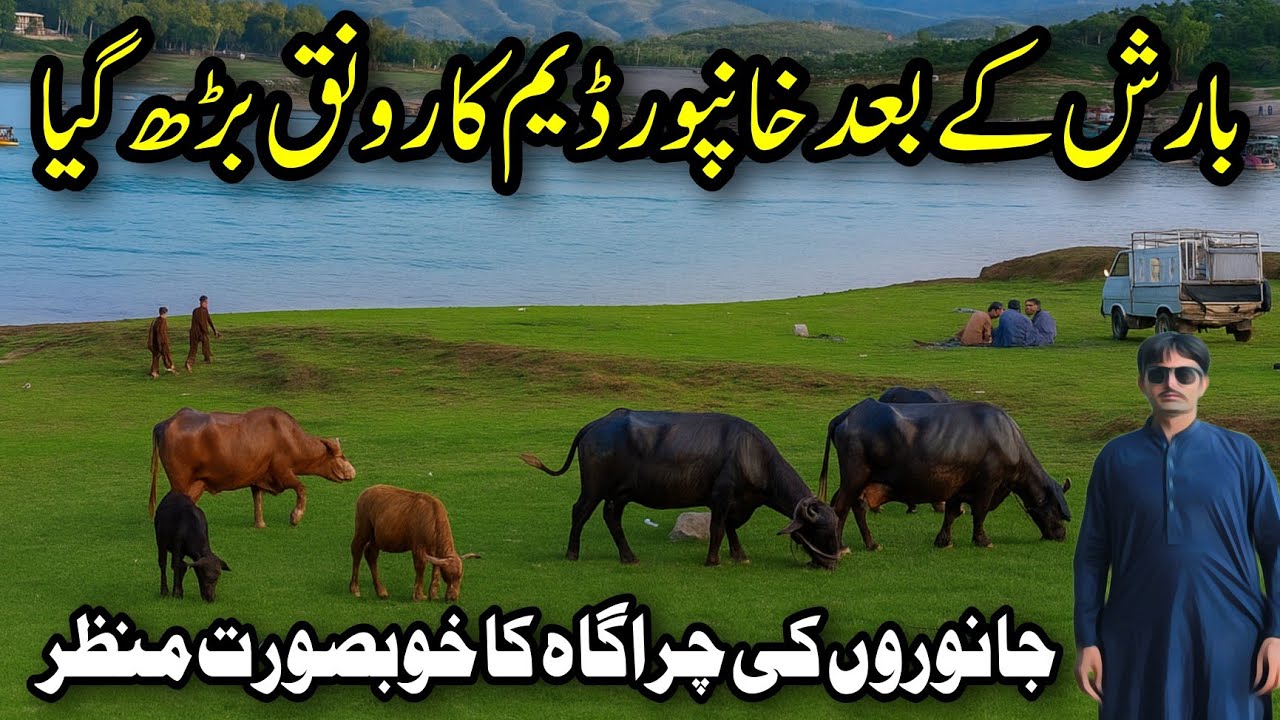 Khanpur Dam Today News | Khanpur Dam | Khanpur Dam Today | Khanpur Dam Water Level Today 2025