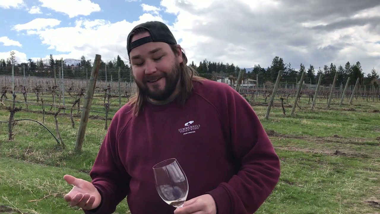 Introducing Summerhill's 2020 Estate Grown Biodynamic Muscat