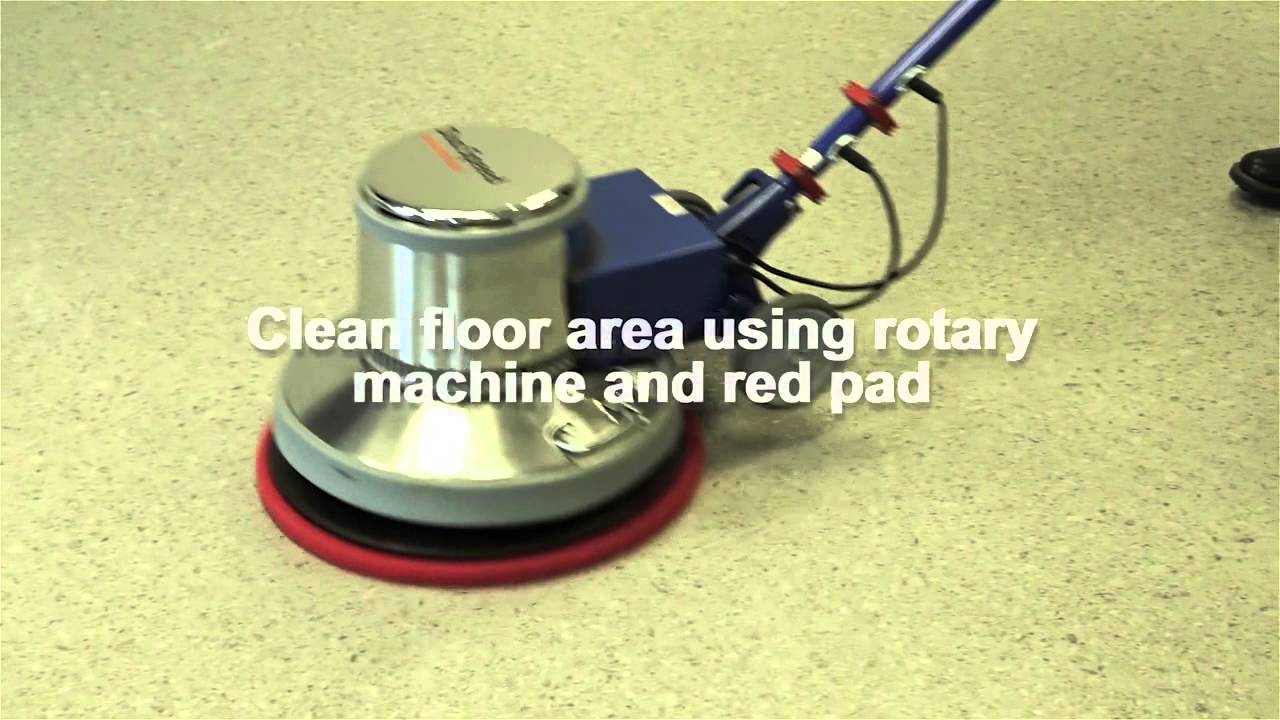 Forbo Eternal (sheet vinyl) Cleaning
