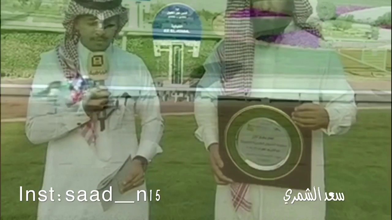 فوز الجواد منيع الخالدية بكاس عز الخيل بنوفا