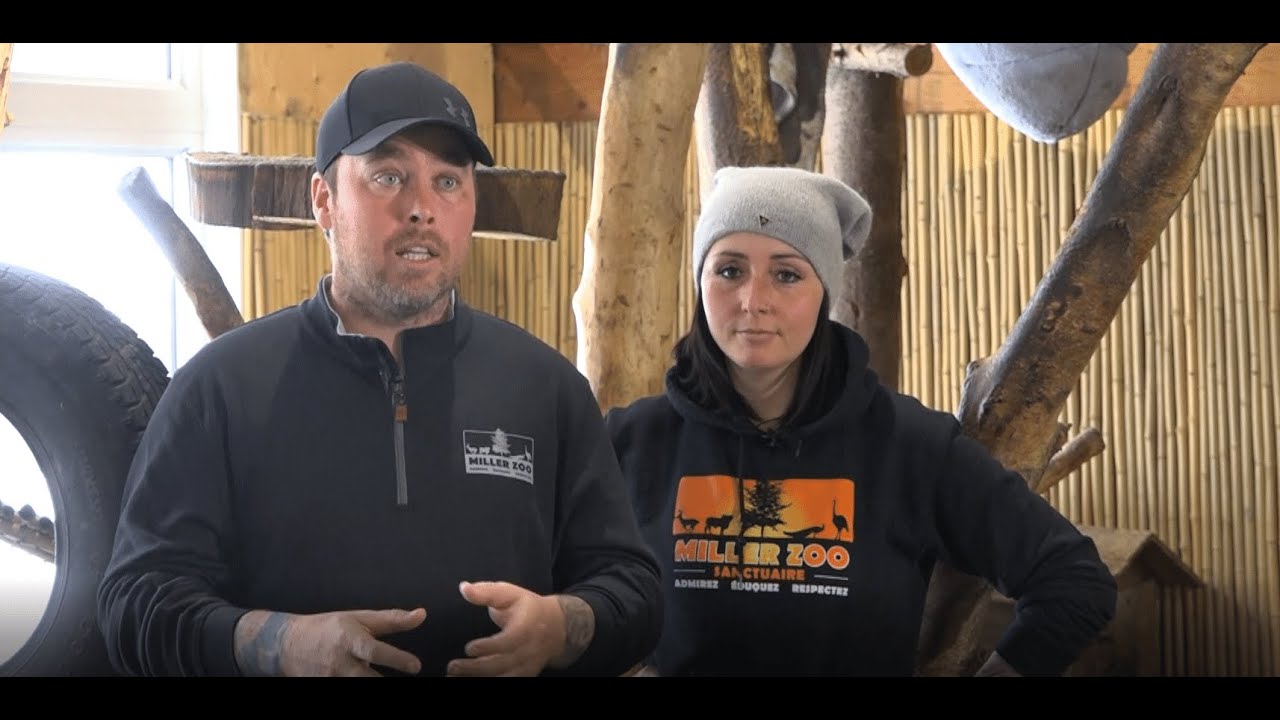 Prix Jeune entreprise 2021 - Miller Zoo