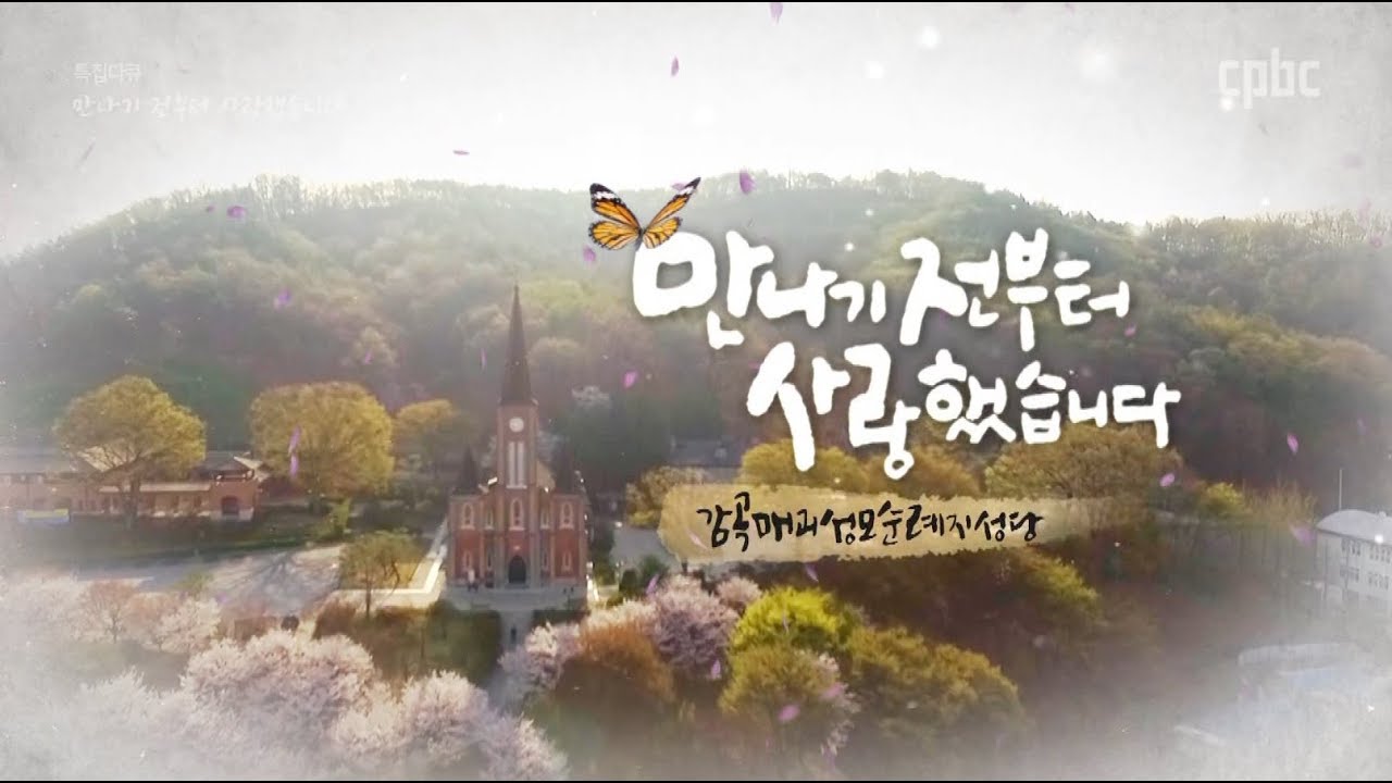 특집다큐 만나기 전부터 사랑했습니다