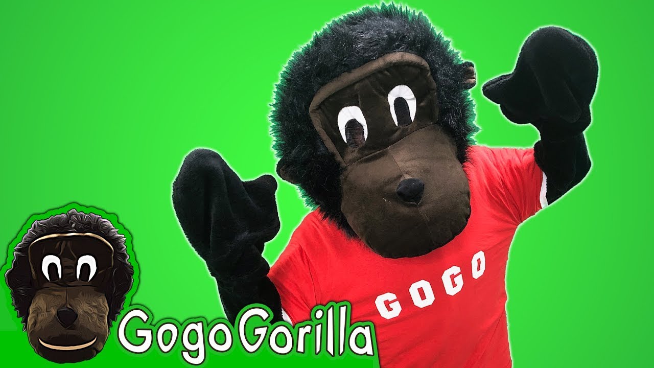 Hokey Pokey | Kids Dance Song | Gogo Gorilla - Kids Music and Educational Videos