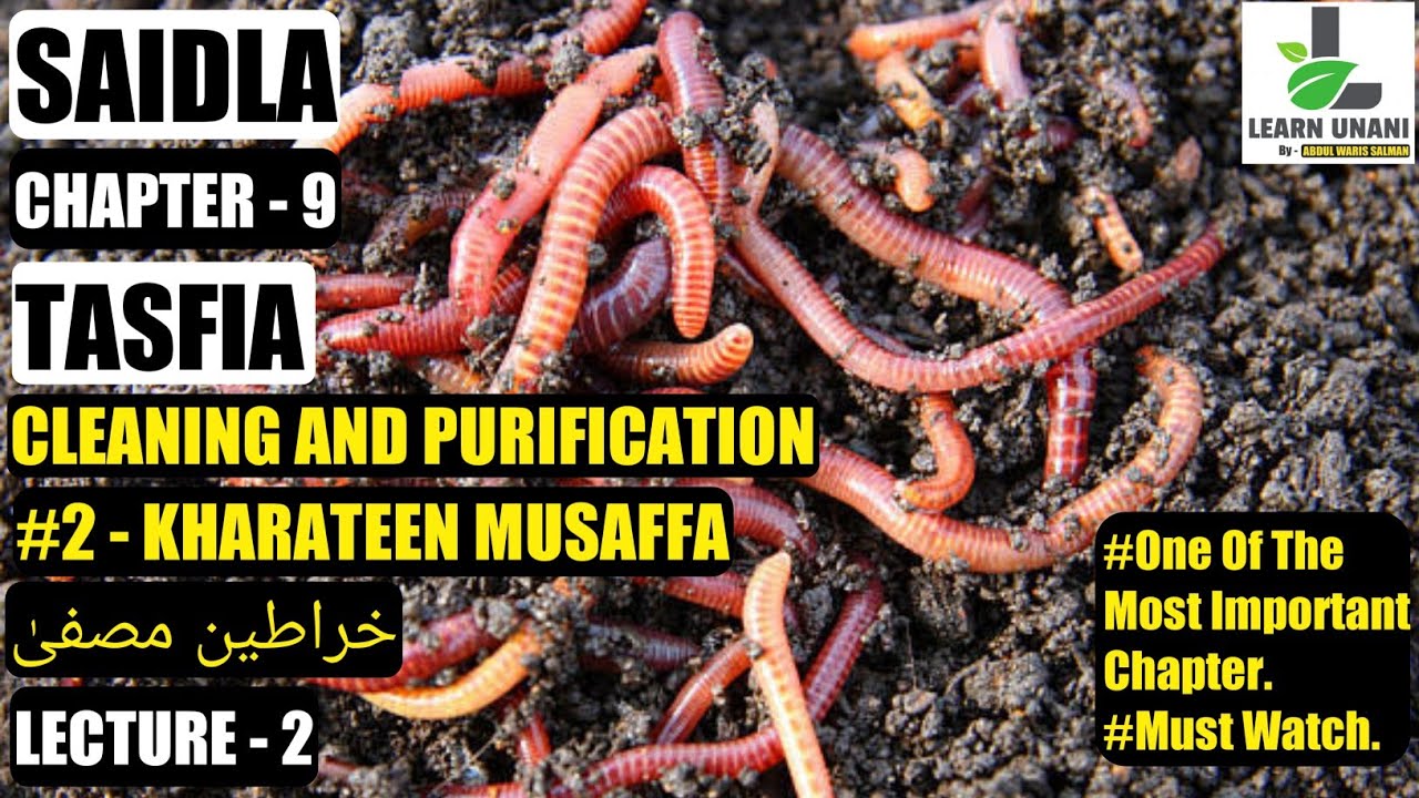 TASFIA | SAIDLA | Chapter - 9 | Lecture - 2 | CLEANING & PURIFICATION | KHARATEEN MUSAFFA