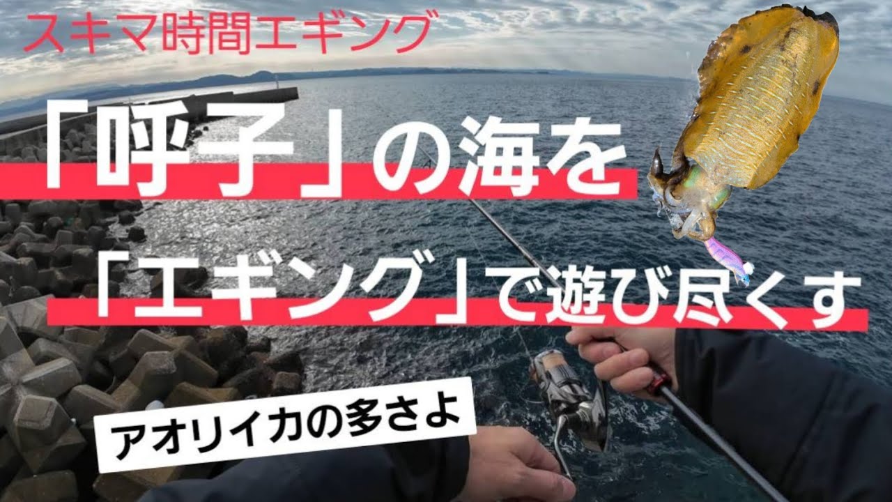 「イカの町呼子」で一日中エギング三昧❗