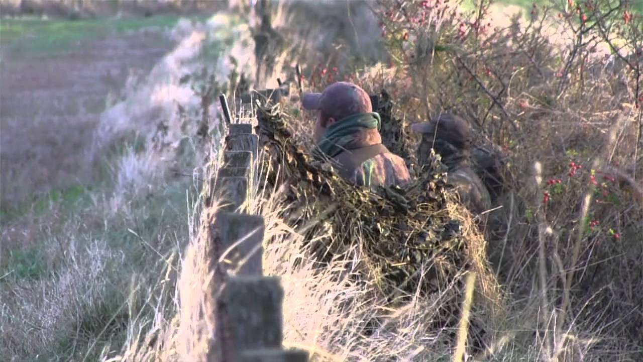 The Shooting Show – goose shooting with the experts
