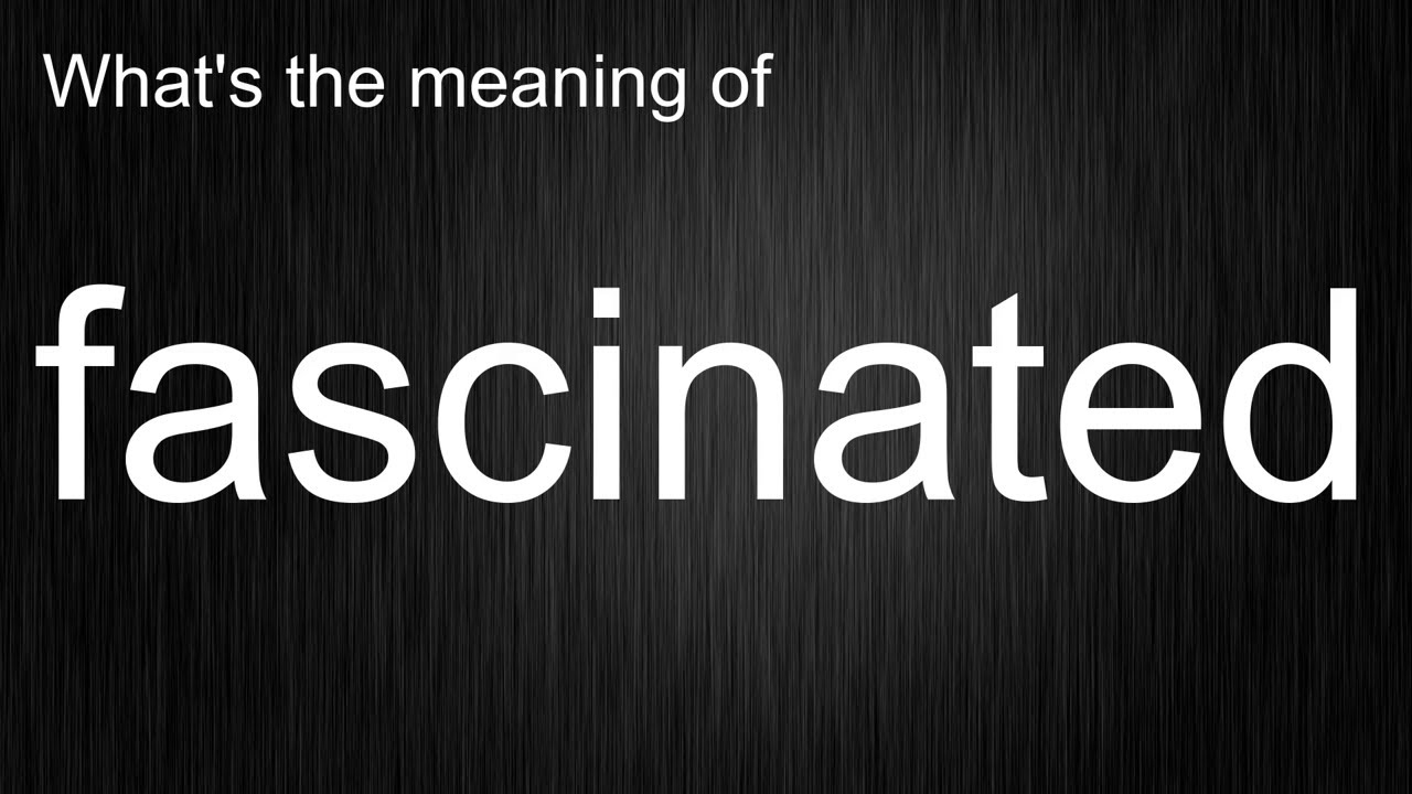 What's the meaning of 