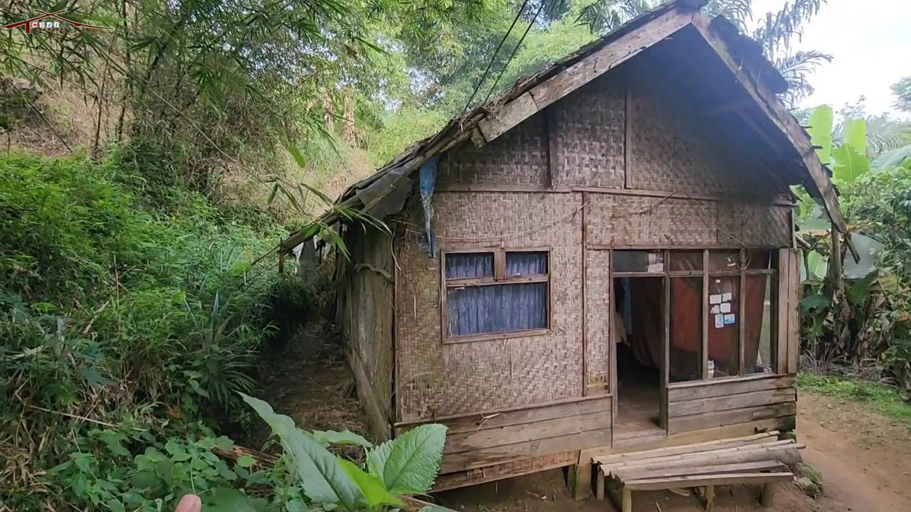 Memilukan Anak Yatim Tinggal Di Rumah Tak Layak Huni Di Tengah Hutan