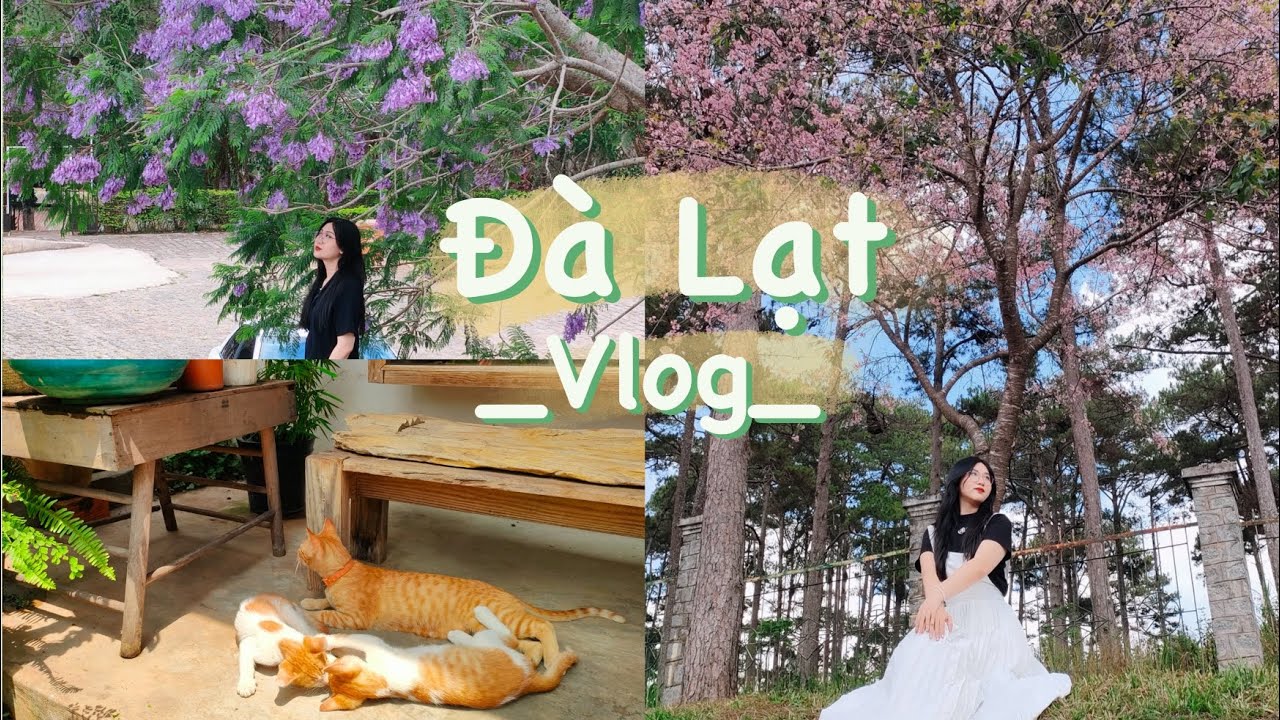 VLOG | Đà Lạt tháng 4 không hề lạnh - Những quán cafe mới, những góc nhỏ bình yên.