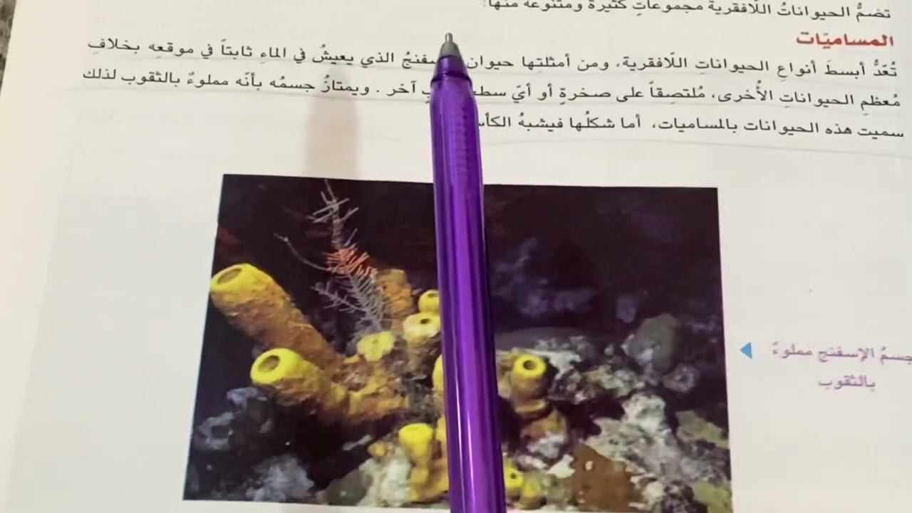 الحيوانات اللافقرية علوم الصف الخامس الابتدائي ص ٤٤ شرح مع ملخص