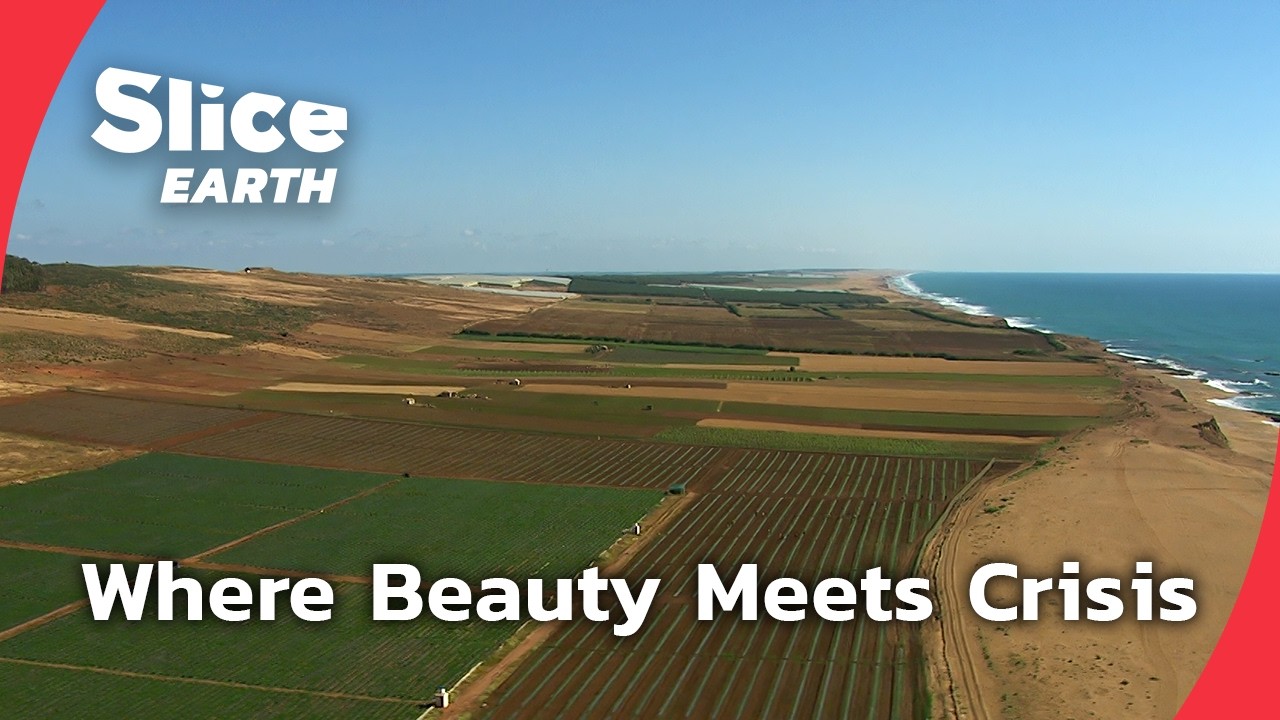 Morocco’s Wild Coast: A Fragile Line Between Two Worlds | SLICE EARTH | FULL DOC