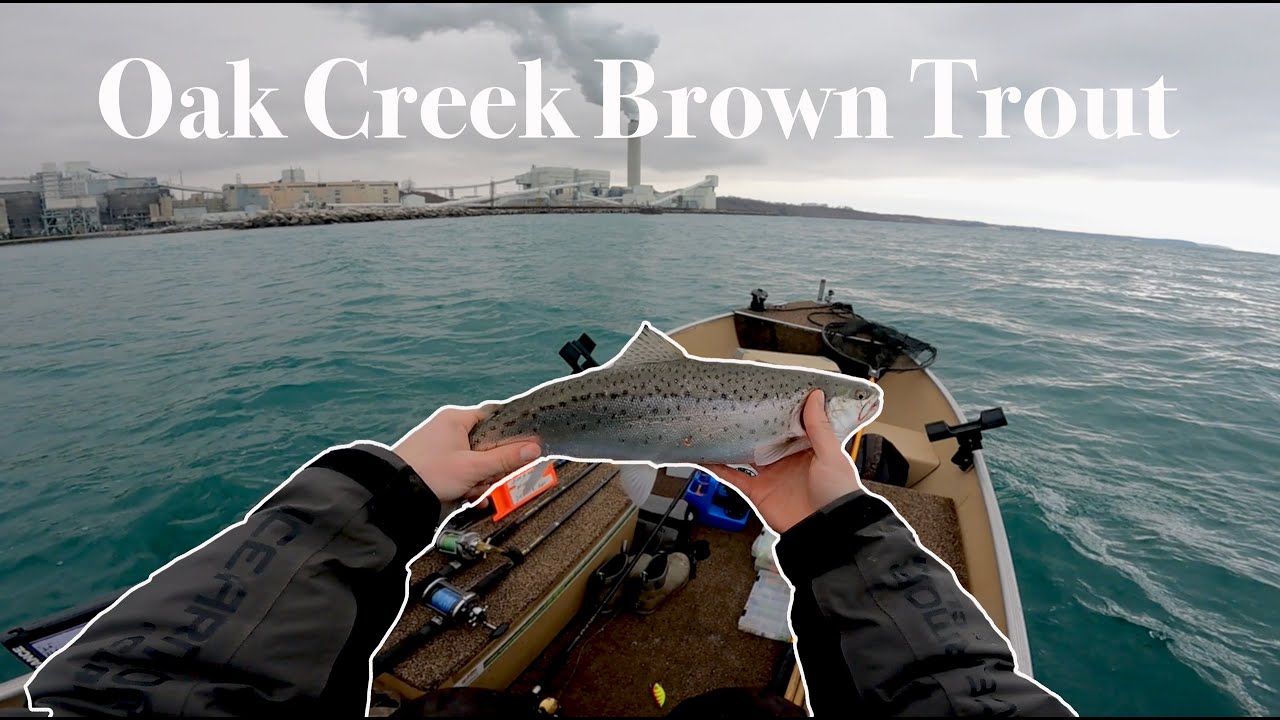 Oak Creek Brown Trout Fishing! One Man Limit! (How to FILET a Trout)