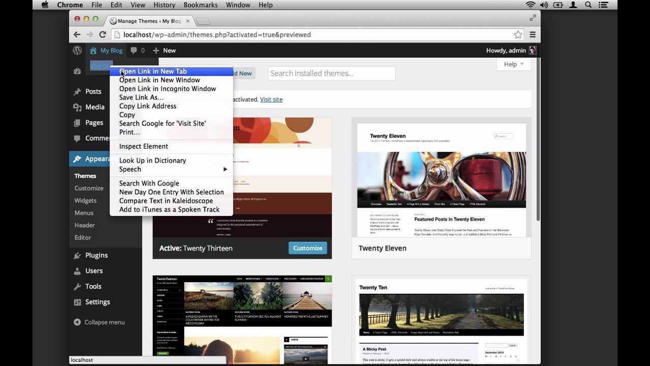 The WordPress Theme Customizer: What is the WordPress Theme Customizer?