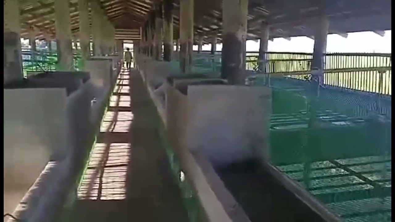 Pag ayos para sa tubig pang inumin