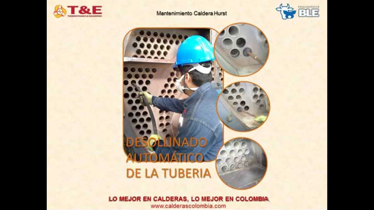 Frigorifico Ble Mantenimiento Caldera