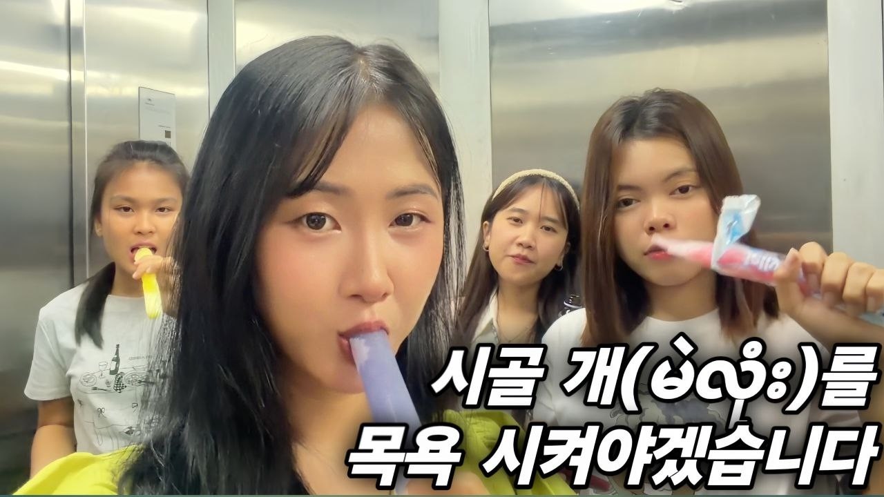 시골 개를 목욕 시켜야겠습니다 - 태어나서 한번도 목욕이란 걸 해본 적 없는 멜롱이인데 그래도 도전은 해보겠습니다 [한국 남자 미얀마 여자 국제 결혼 커플의 일상]