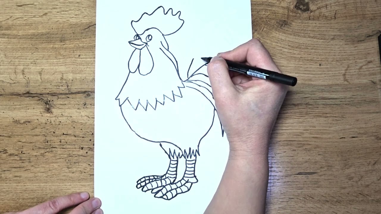 Let’s draw a rooster