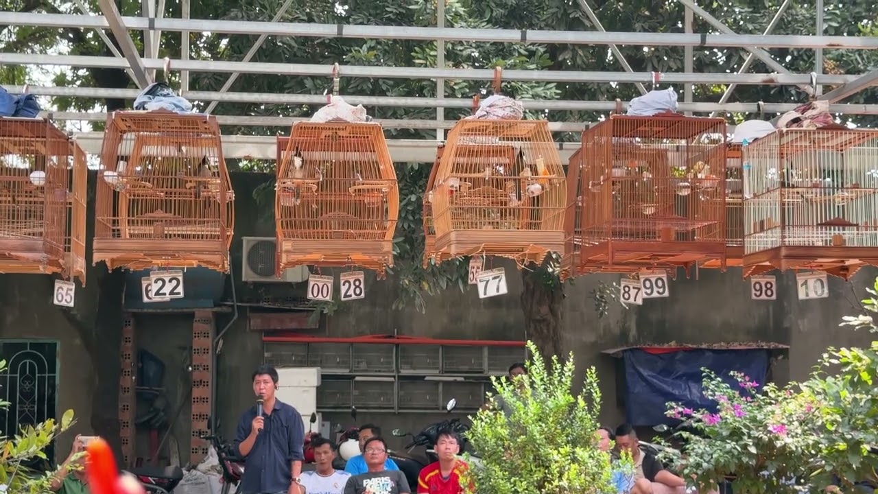 Vòng Chọn TOP 10 | Chào Mào Thi Đấu Vé 300