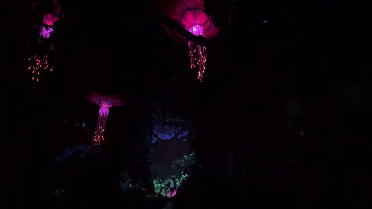 Hi Adam! I rode the Na’vi River Journey at Disney’s Animal Kingdom in Pandora The World of Avatar!