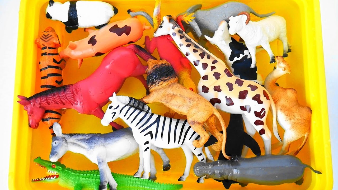 야생동물, 사파리동물, 여러가지 종류의 동물들의 생김새와 한국어 영어 이름 배우기 Learn Wild Animals, Safari Animals Names and Sounds