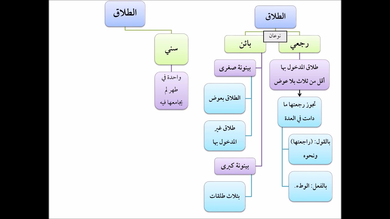 فقه الأسرة (23) تقاسيم للطلاق - عامر بهجت - التأهيل الفقهي