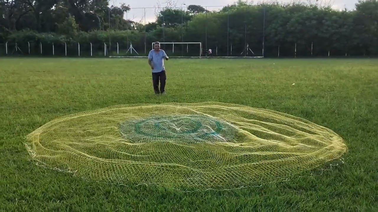 Tarrafas testada e aprovada.meu ZAP 16920009362