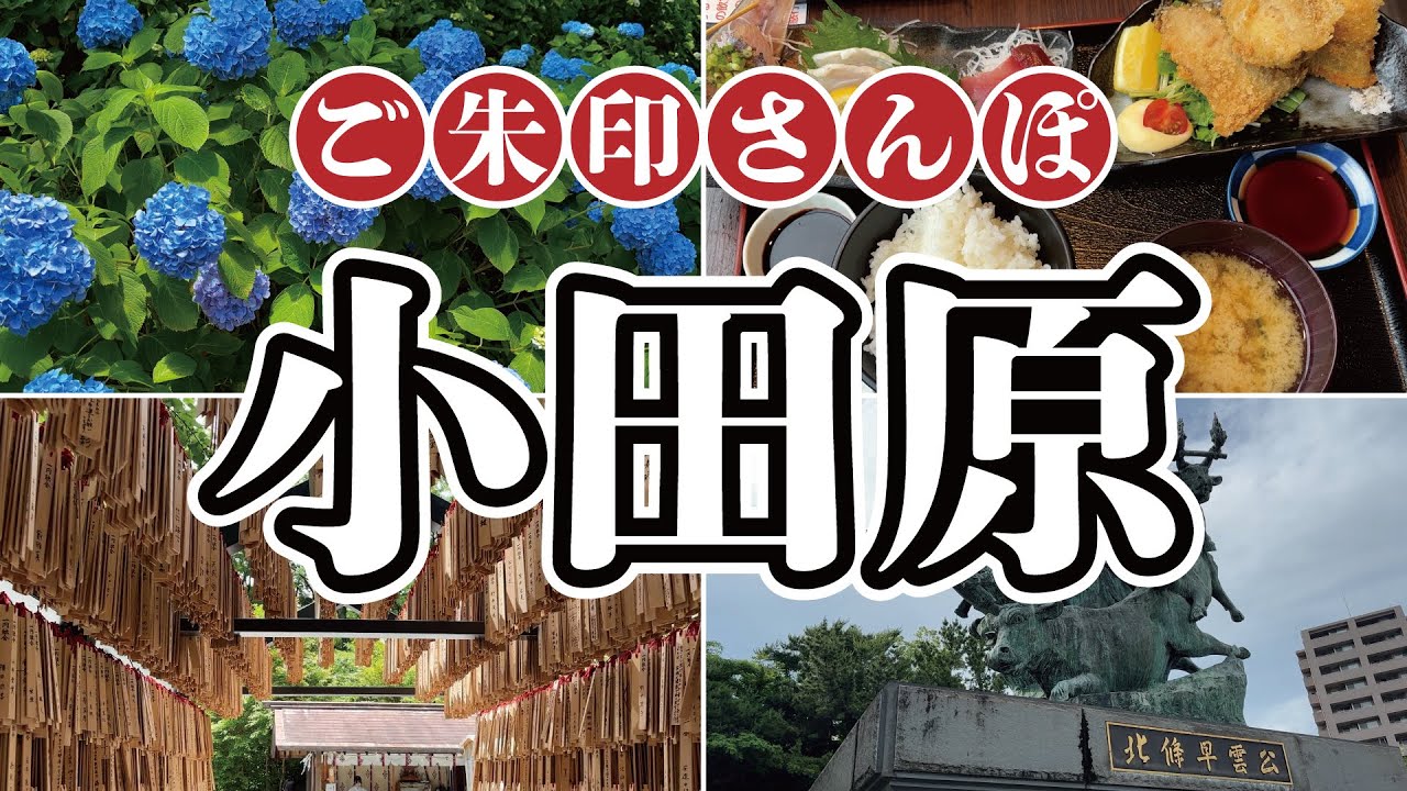 【御朱印さんぽ】小田原の旅～小田原城～報徳二宮神社～きんじろうカフェ～居神神社～柳屋ベーカリー～鱗吉～竜宮堂～松原神社【花菖蒲とあじさい】
