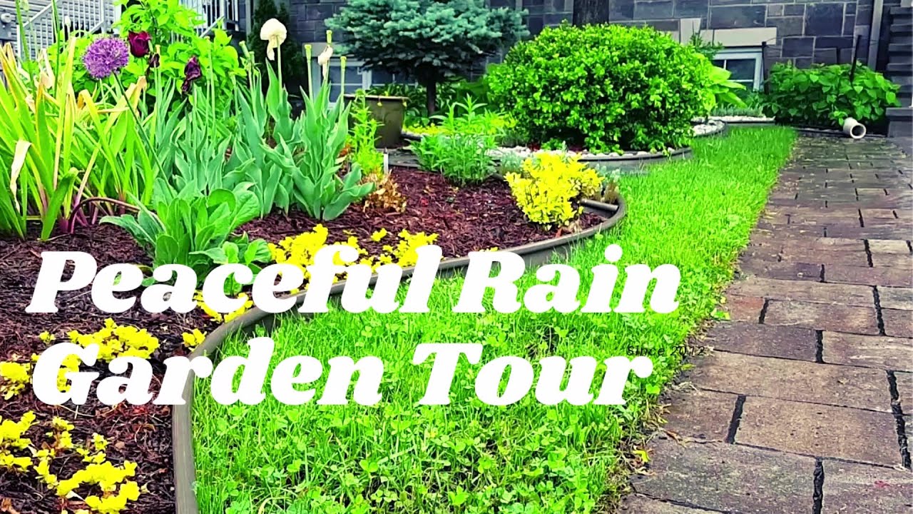 Peaceful And Relaxing Rain GARDEN TOUR  | Perennial Garden In Zone 5A #garden #gardening #perennial