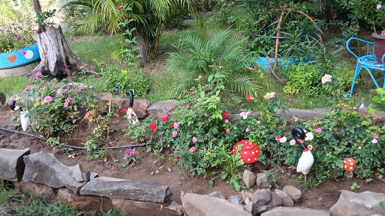🌼🌿 LINDO PASSEIO PELO JARDIM | FLORES EM ESPETÁCULO 