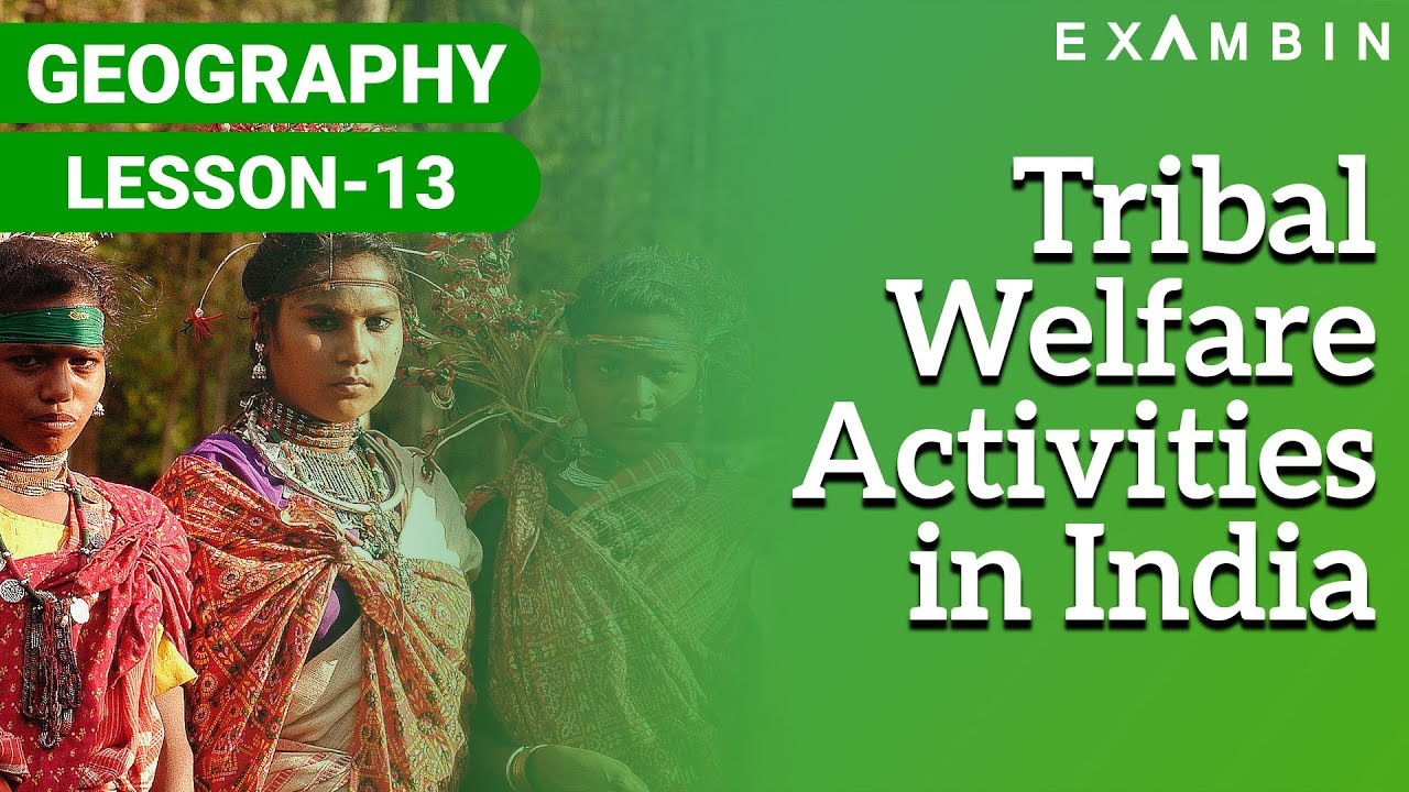 Tribal Welfare Activities in India - Constitutional Safeguards - Economic Programs and Facilities