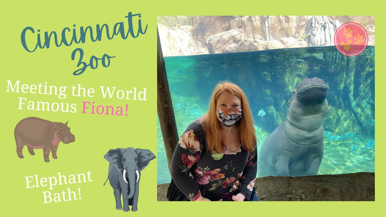 Cincinnati Zoo Vlog | Day 1: MEETING FIONA, ELEPHANT BATH | April 2021 (Two Cats, Ep. 141)
