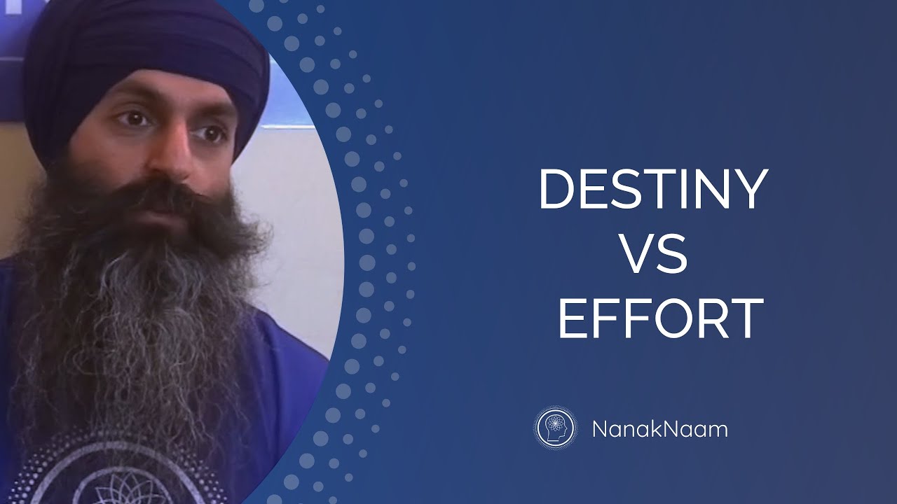 If everything is Hukam why do anything? (Destiny vs effort in spirituality)