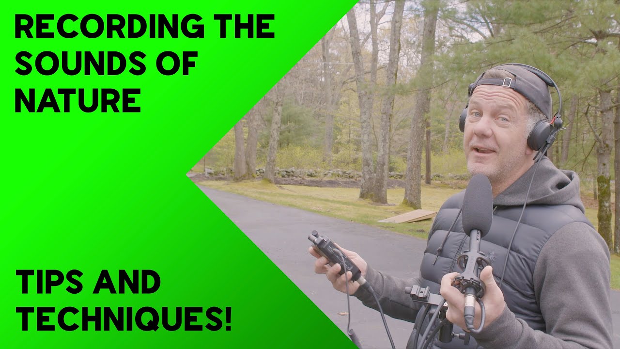 Field Recording with the Sennheiser MKE 600 Shotgun Microphone - The Foxumentary - Part 2!