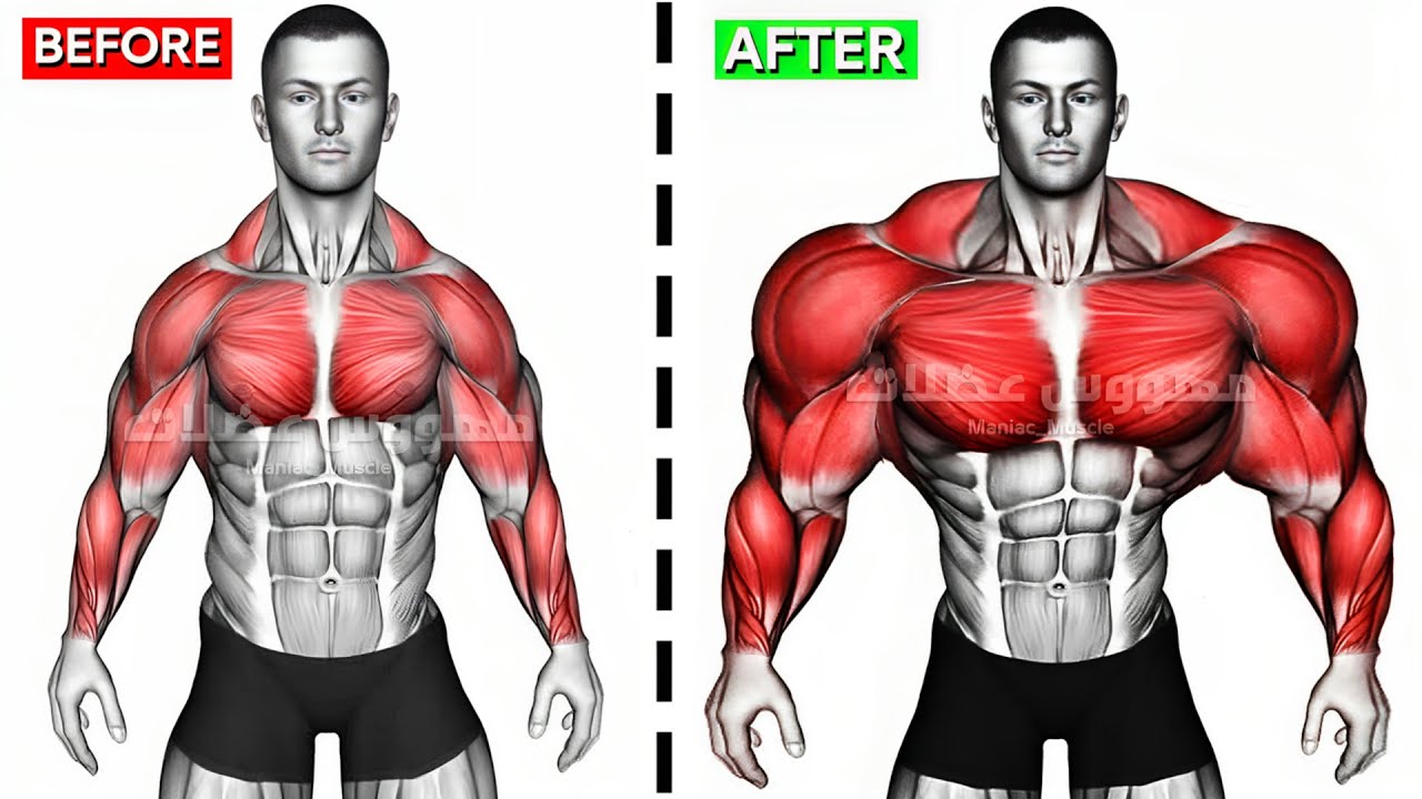 UPPER BODY WORKOUT WITH DUMBBELLS  (Shoulder-forearms-chest-triceps-back-biceps-traps)