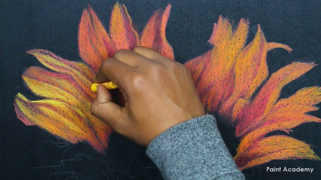 How to Draw Realistic Sunflower in Oil Pastel | steps to follow